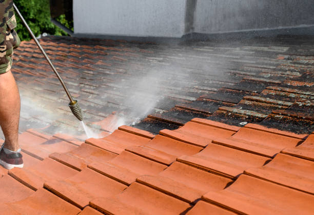Best Local Pressure Washing Services  in Mineral Wells, TX